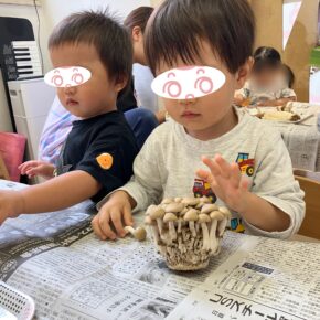 きのこの食育…！？