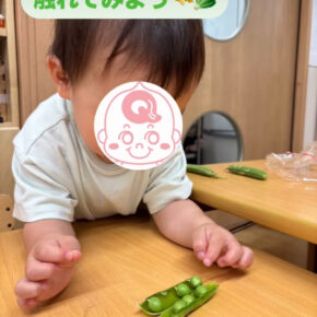 長崎のお野菜に触れてみました！