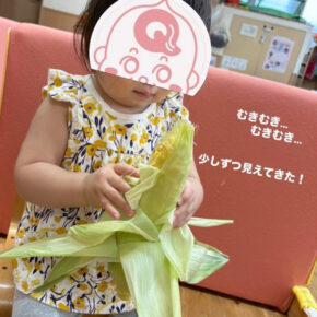 とうもろこしの皮剥きをしました！