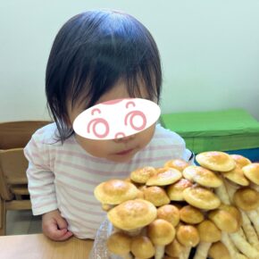 なめこの収穫をしました🍄