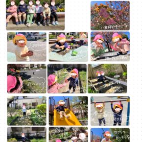 お散歩の様子🎵