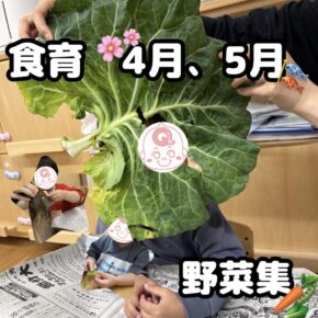 食育4月、5月　野菜集