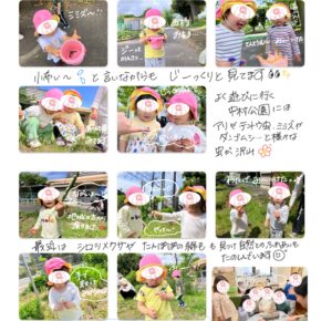 春との触れ合い🌸