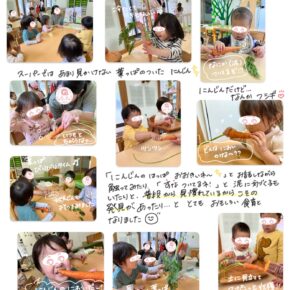 にんじんの食育をしました！