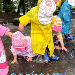 雨の日散歩☔️